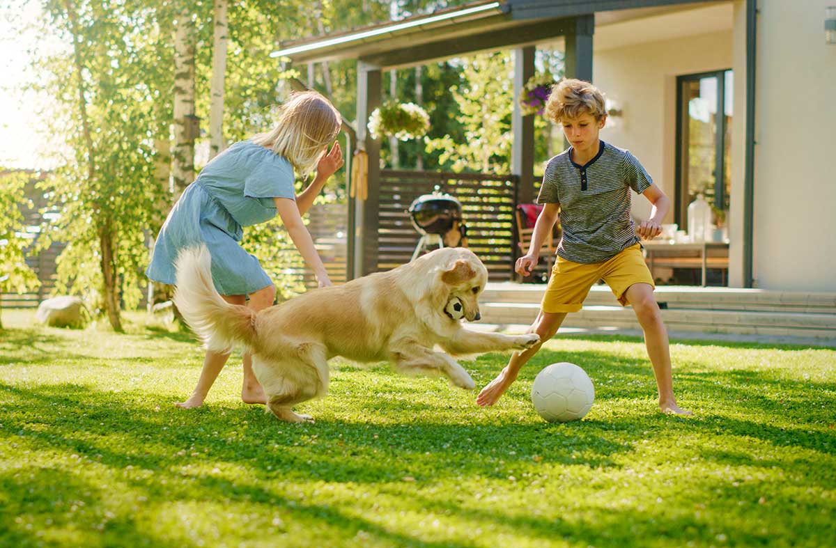 Eco-Friendly & Pet-Friendly Pest Control